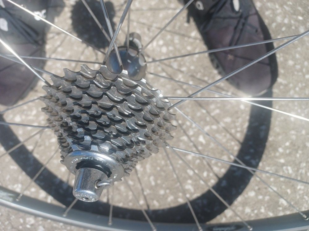 Campagnolo Rear Wheel with 10 Speed Campy Cassette Tire and Tube - $40 FIRM