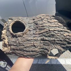 Brand New Snake Reptile Lizard  Tree Hide Terrarium 45$ Value 