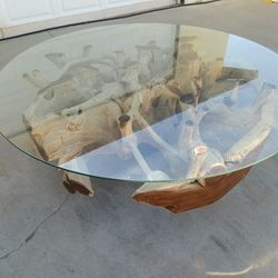 Root Ball Coffee Table 