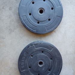 25 Lb Vinyl Weights