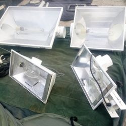 Indoor Grow Lighting