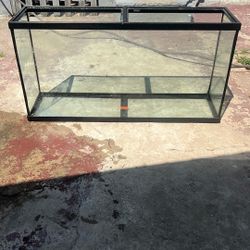 Large Fish Tank