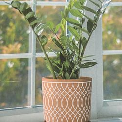 D’vineDev Dev Planter Pot