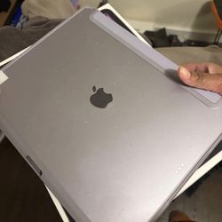 iPad 