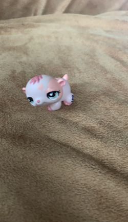 2008 has to little pet shop small pig