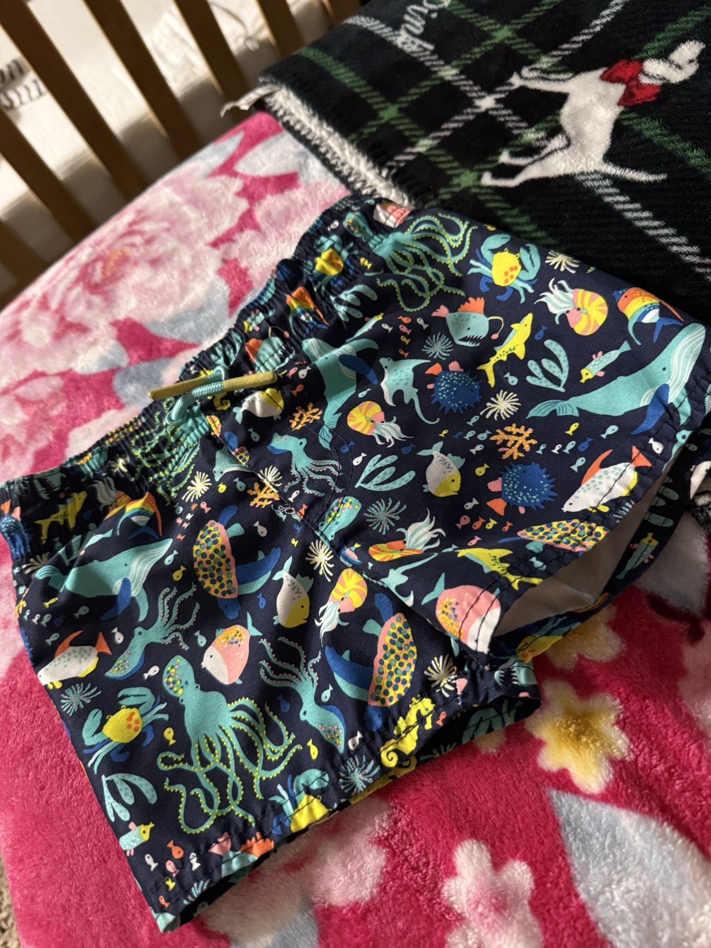 Toddler Boy Swim shorts