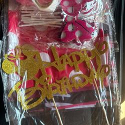Minnie Mouse Birthday Party Pack All For $50