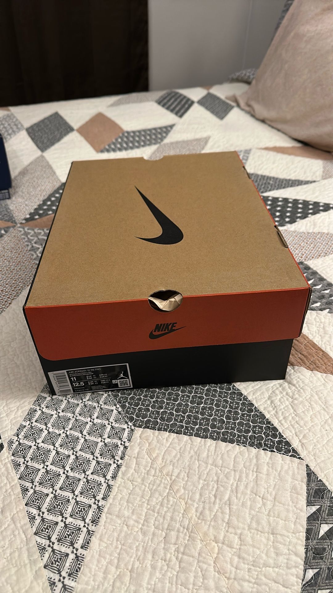 Air Jordan 12