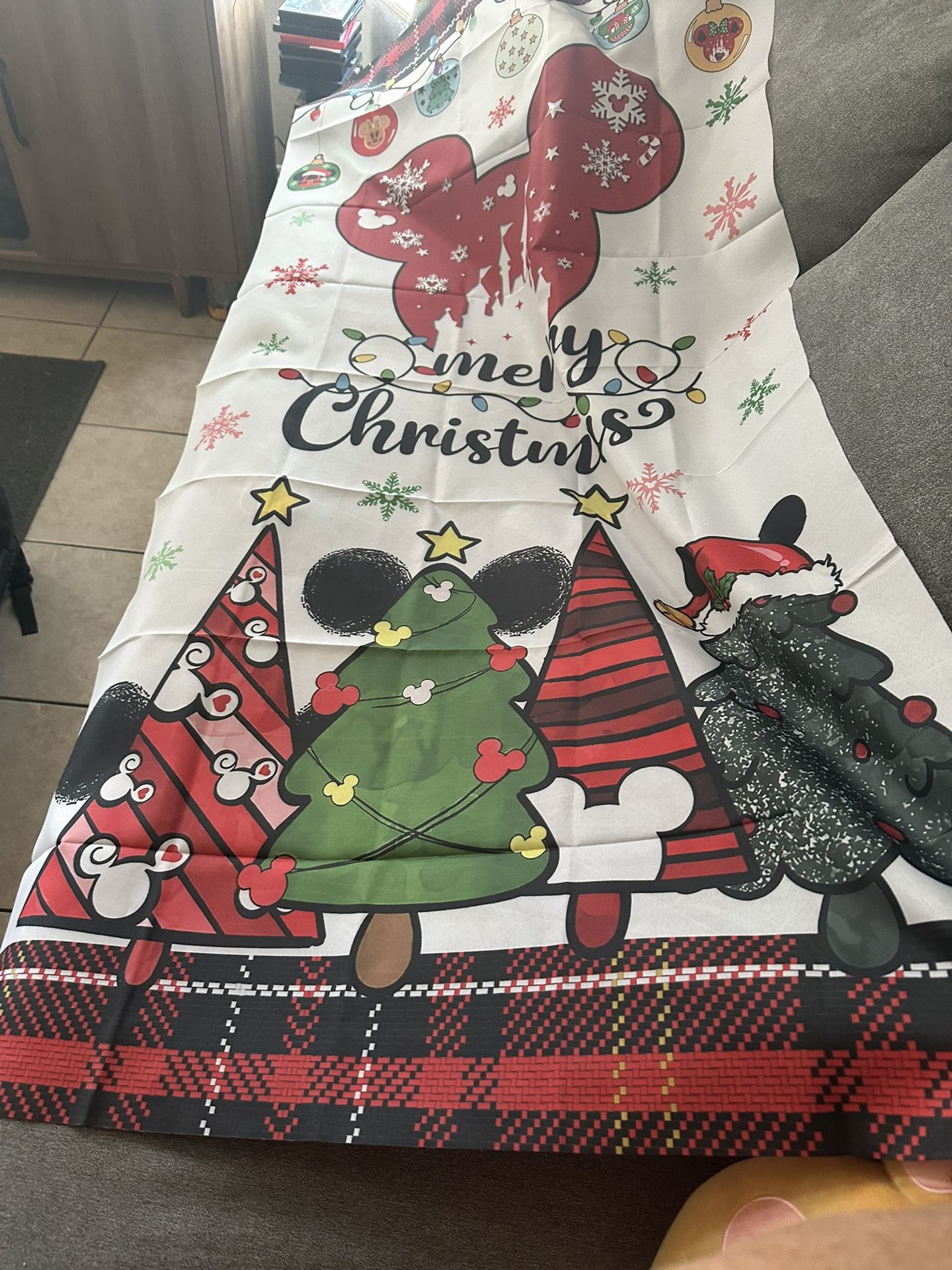 New Mickey And Minnie Christmas Bundle?