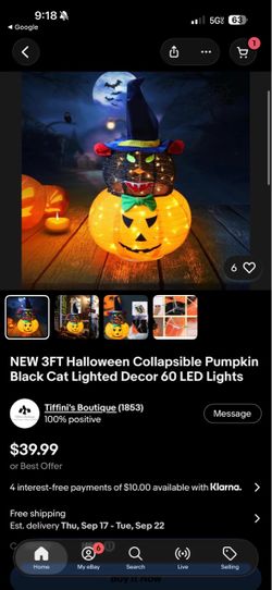 Halloween Pumpkin Cat LED Decoration $40 each or 2 for $60