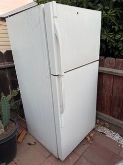 Free Fridge