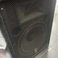 Guitar Speaker 