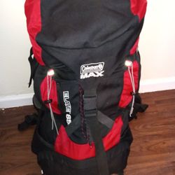 Coleman Camping Bag 