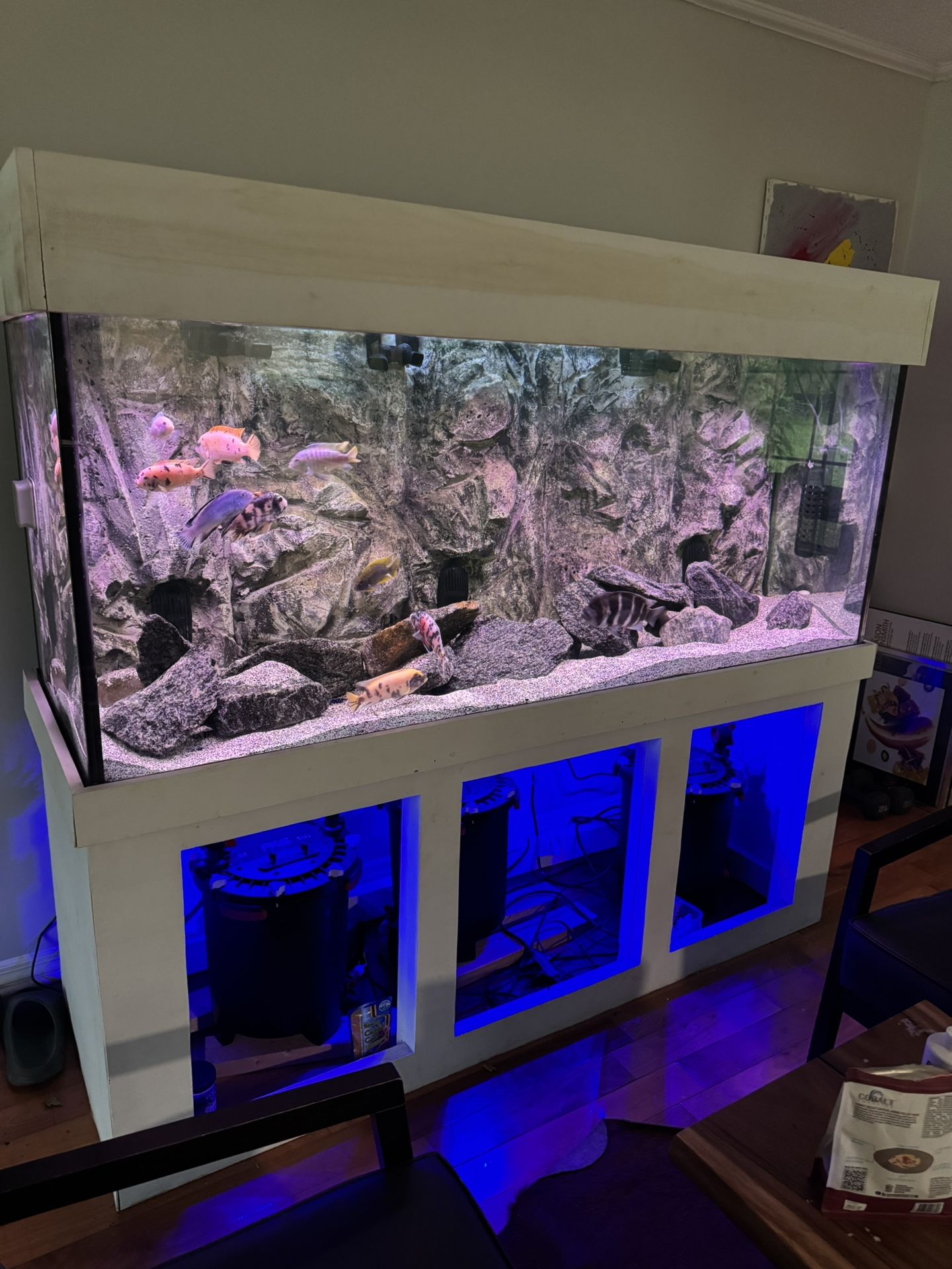 225 Gallon Aquarium