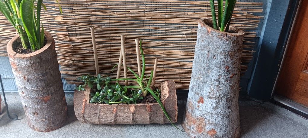 3 Pcs Palm Tree Planters Or Individual