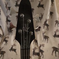 Bass guitar & Fender amp