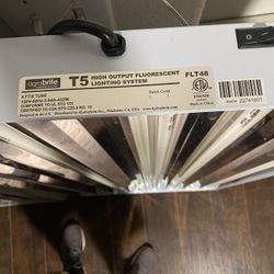 Flouresent Light 