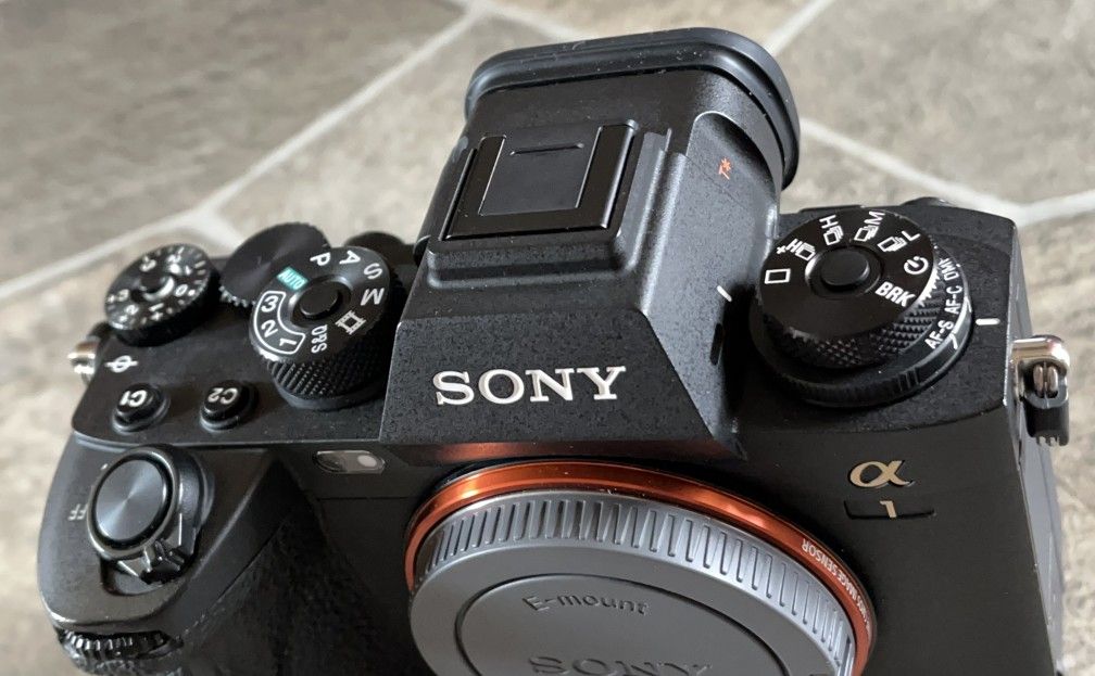 Sony A1 Mirrorless Camera Body + Grip for Sale in Renton, WA OfferUp
