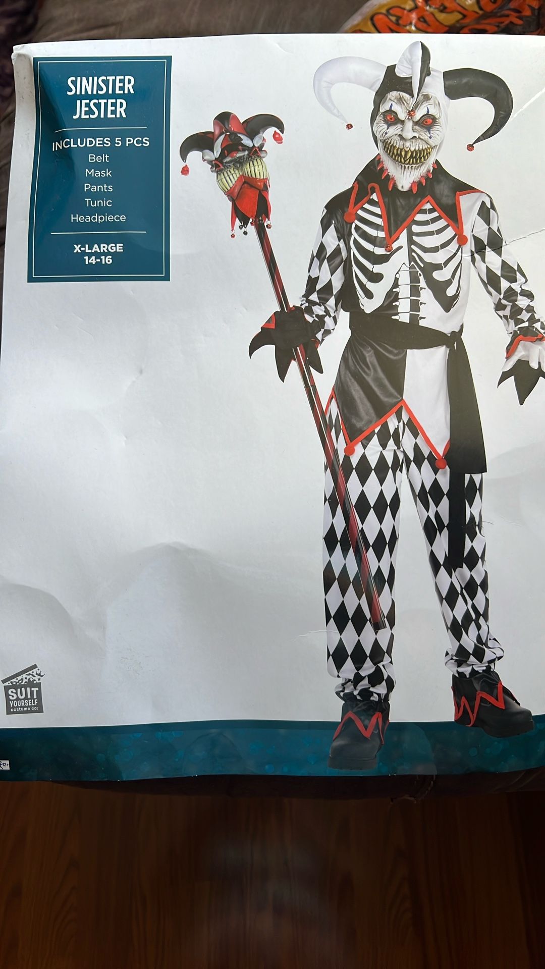 Jester Costume 