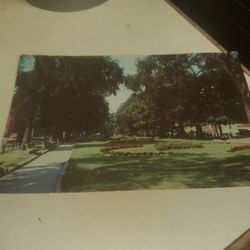 Vintage Postcard Lynn Common Gardens 