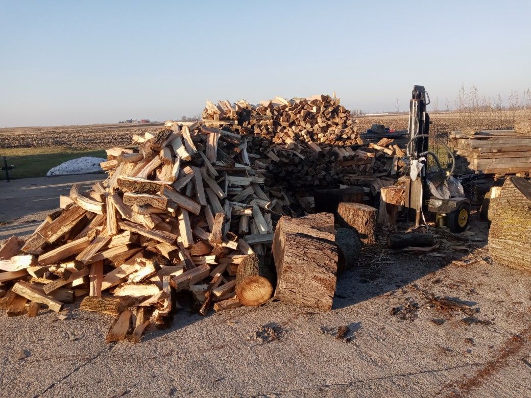 Firewood