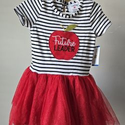 Toddler Girl Dress 2T Counting Daisies New
