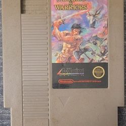 NINTENDO NES: WIZARDS & WARRIORS 