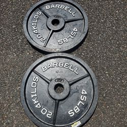 Olympic Plates-45lbs 