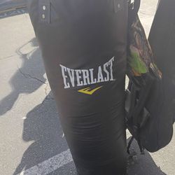 Everlast Punch Bag (Large) NO STAND