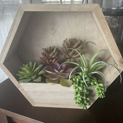 Succulent Wall Decor - Kirkland's 