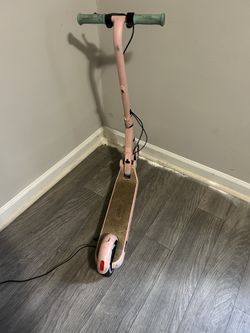 Ninebot Electric Scooter