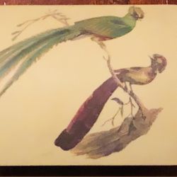 Antique Collectible Box W/ Plumed Bird Design