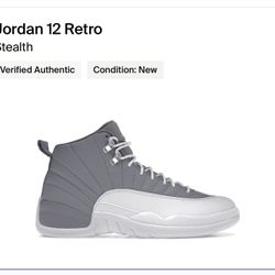 Jordan 12 Wolf Grey Sz 10