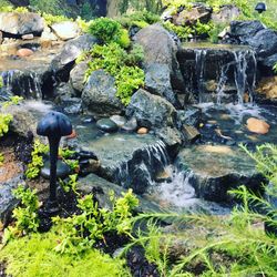 Ponds Waterfalls Koi