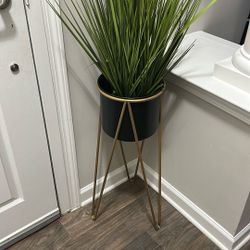 Plant Holder