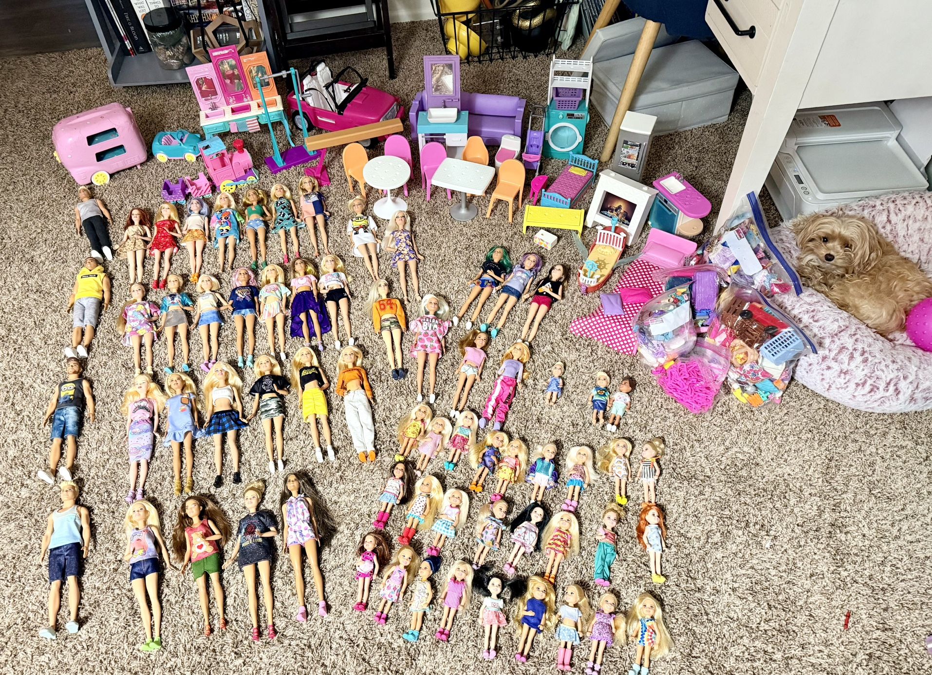 Huge Barbie Lot