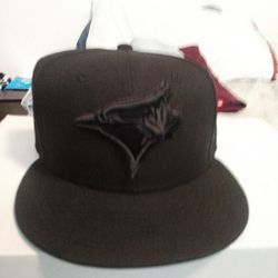 Blue Jays fitted hat