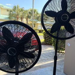 Fans - 2