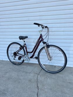 Trek Step Thru Bike