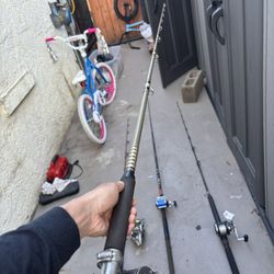 Fishing Rod