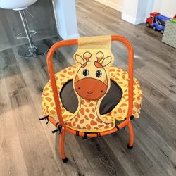 Giraffe Trampoline 