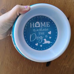 Dog Bowl 