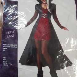 Adult Blood Thirsty Beauty Halloween Costume