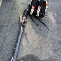 Echo Leaf Blower 
