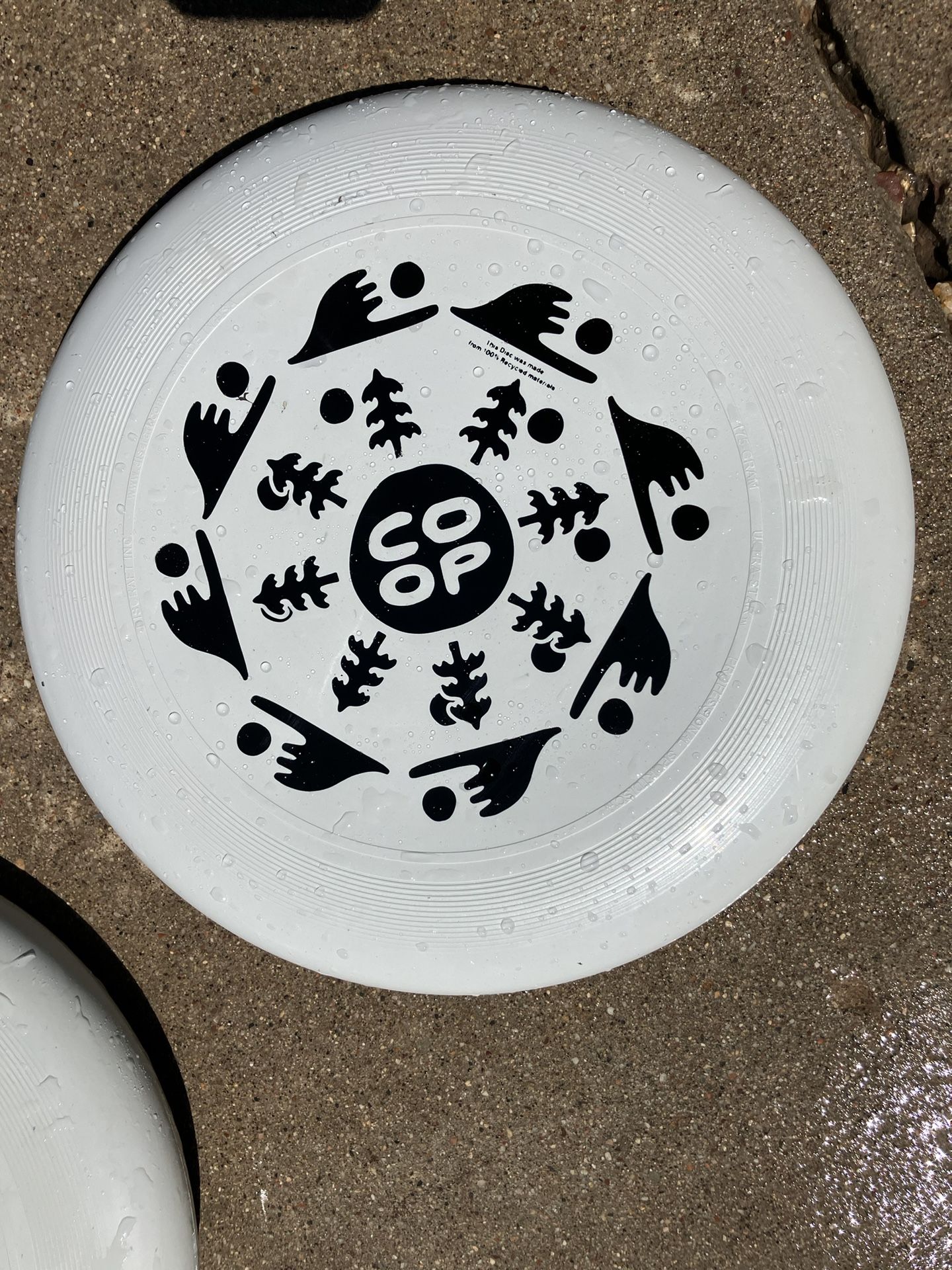 REI Co-Op Flying Disks