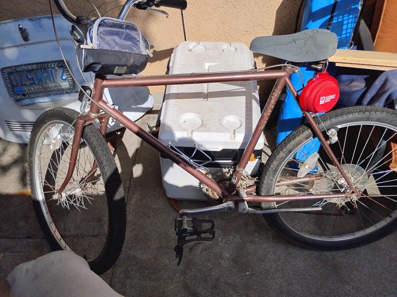 Men's Schwinn Mountain Bike
