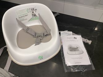 Ingenuity Booster Seat