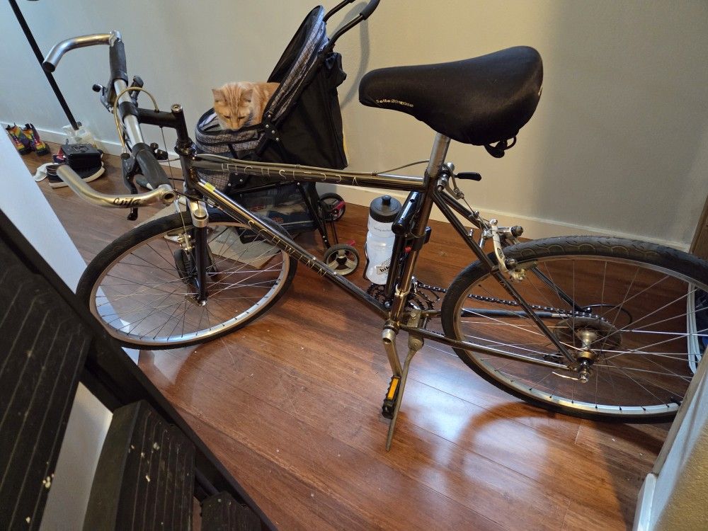 1980s High Sierra Schwinn Steel-framed MTB