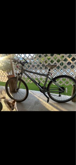 Bikes