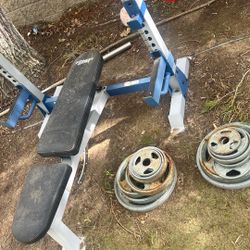 Bench Press 45 Pound Olympic Bar 300 Pounds In Weights